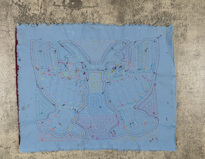 Rainbow Optical Illusion Bird Mola