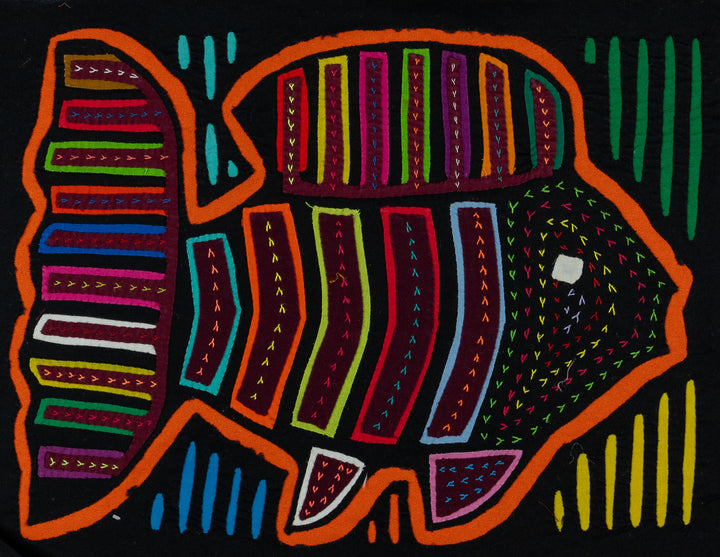 Black And Orange Tropical Fish Mola