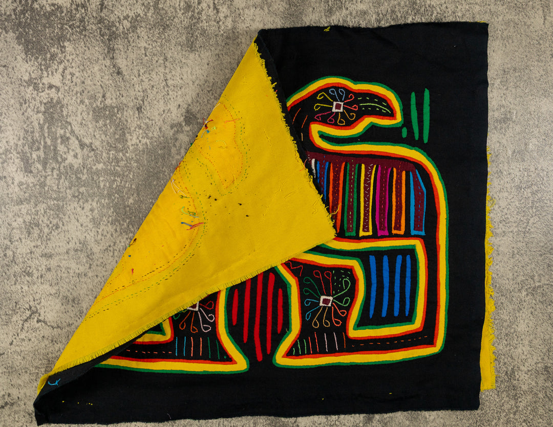 Black And Yellow Buzzard Mola