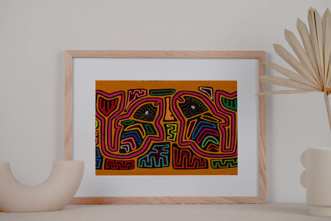 Orange And Pink Tropical Fish Mola