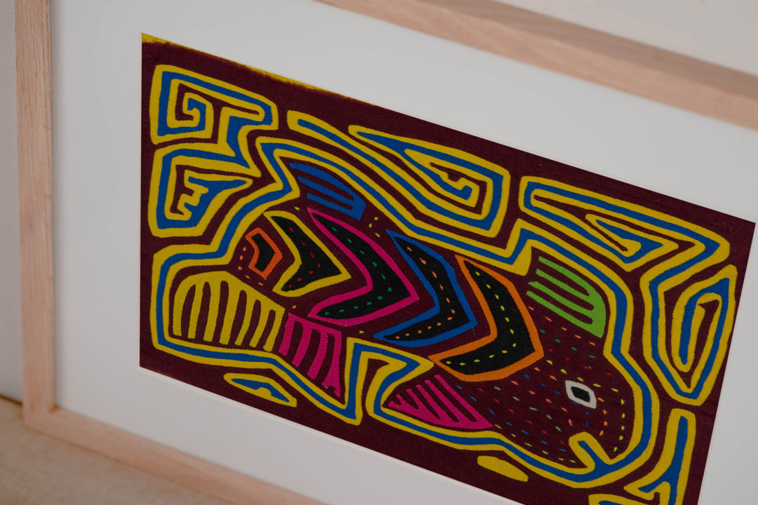 Maroon And Yellow Rainbow Tuna Fish Mola