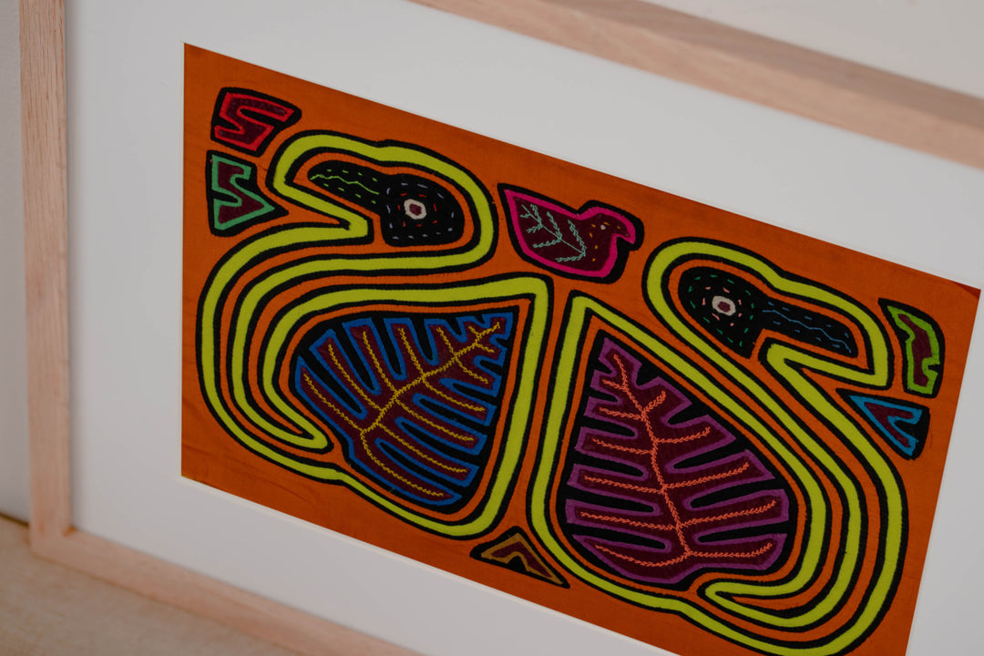 Orange And Yellow Swan Bird Mola