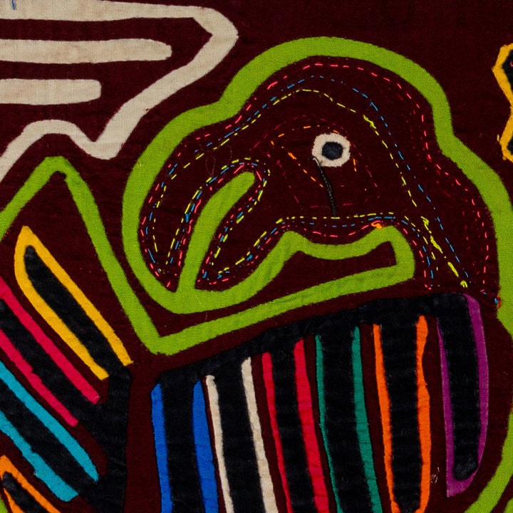 Maroon And Green Buzzard Bird Mola