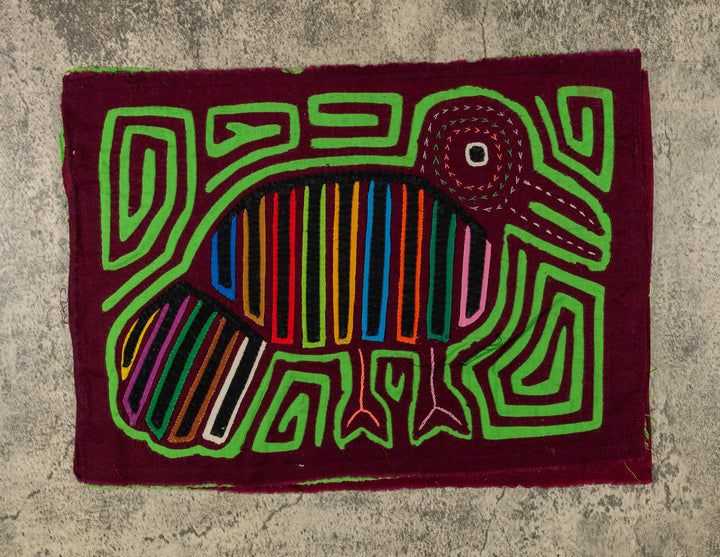 Maroon And Green Pigeon Mola