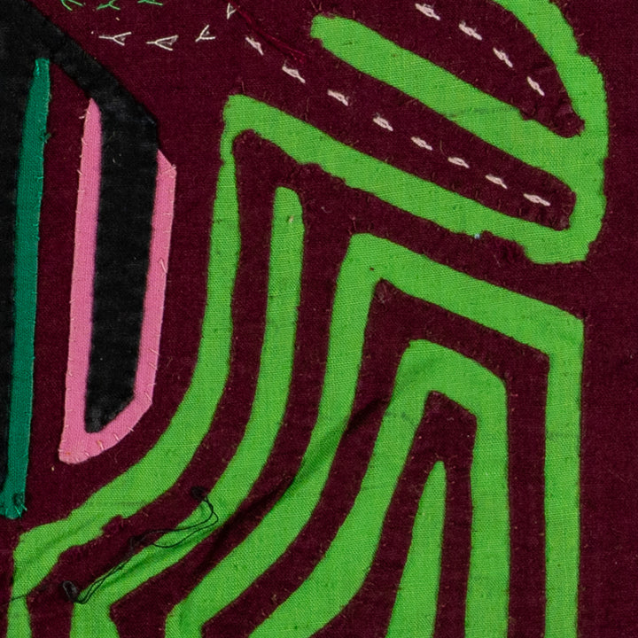 Maroon And Green Pigeon Mola