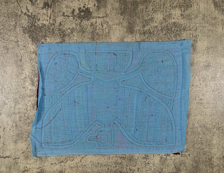 Maroon And Blue Thunderbird Mola