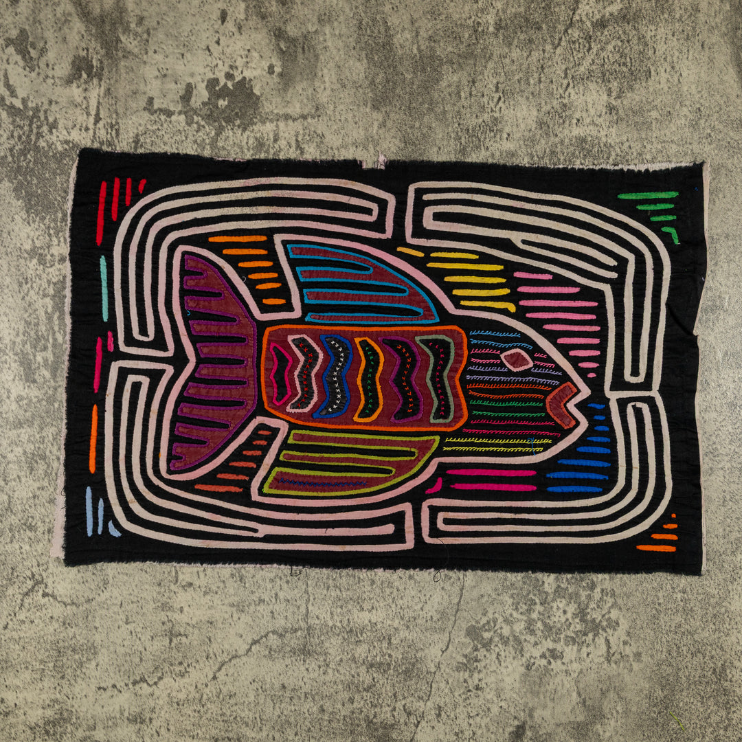 Rainbow Trout Fish Mola