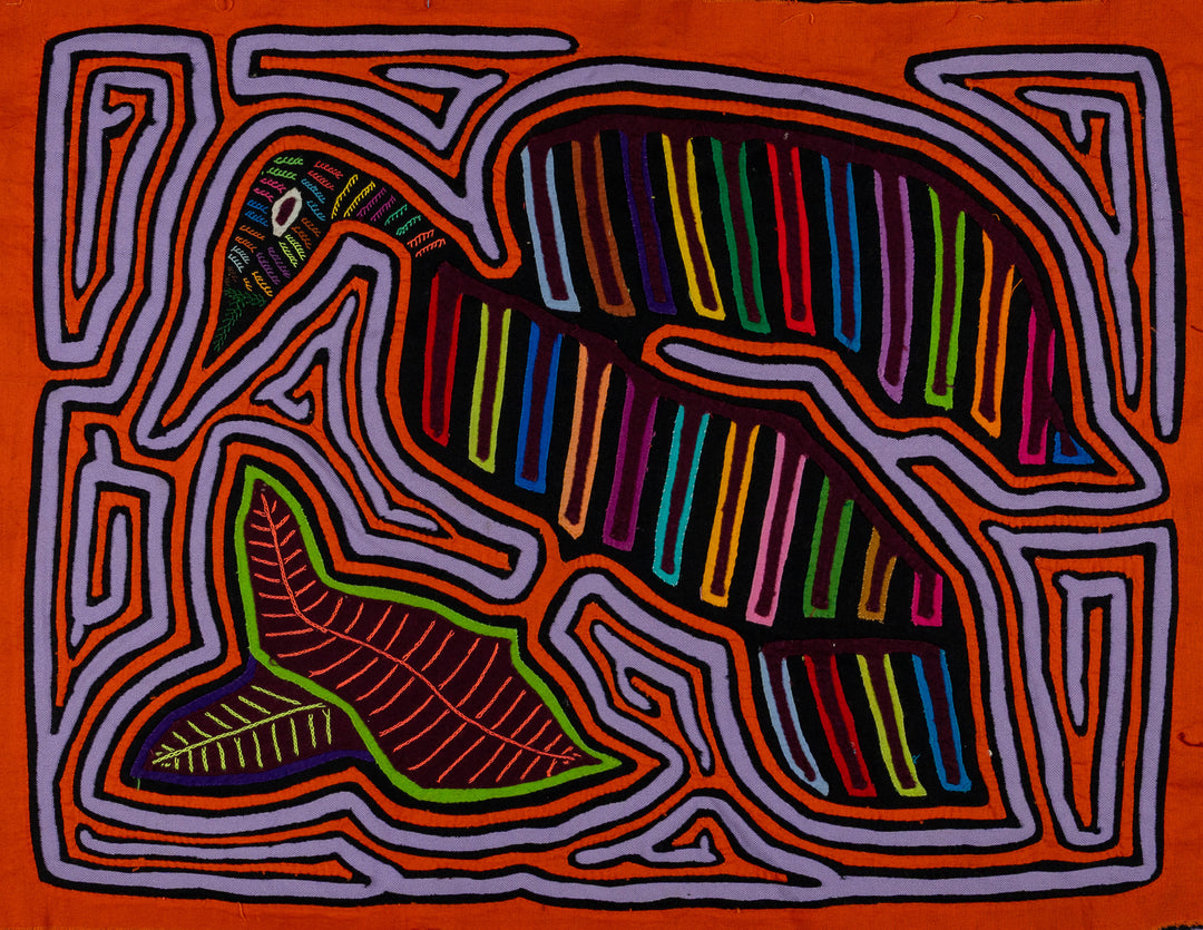 Orange And Gray Winged Warrior Of The Jungle Mola