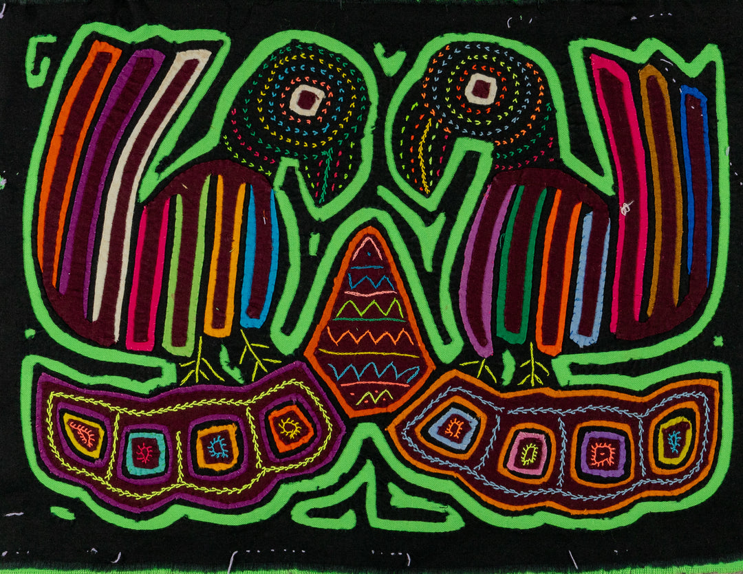 Black And Green Coy Lovebird Mola