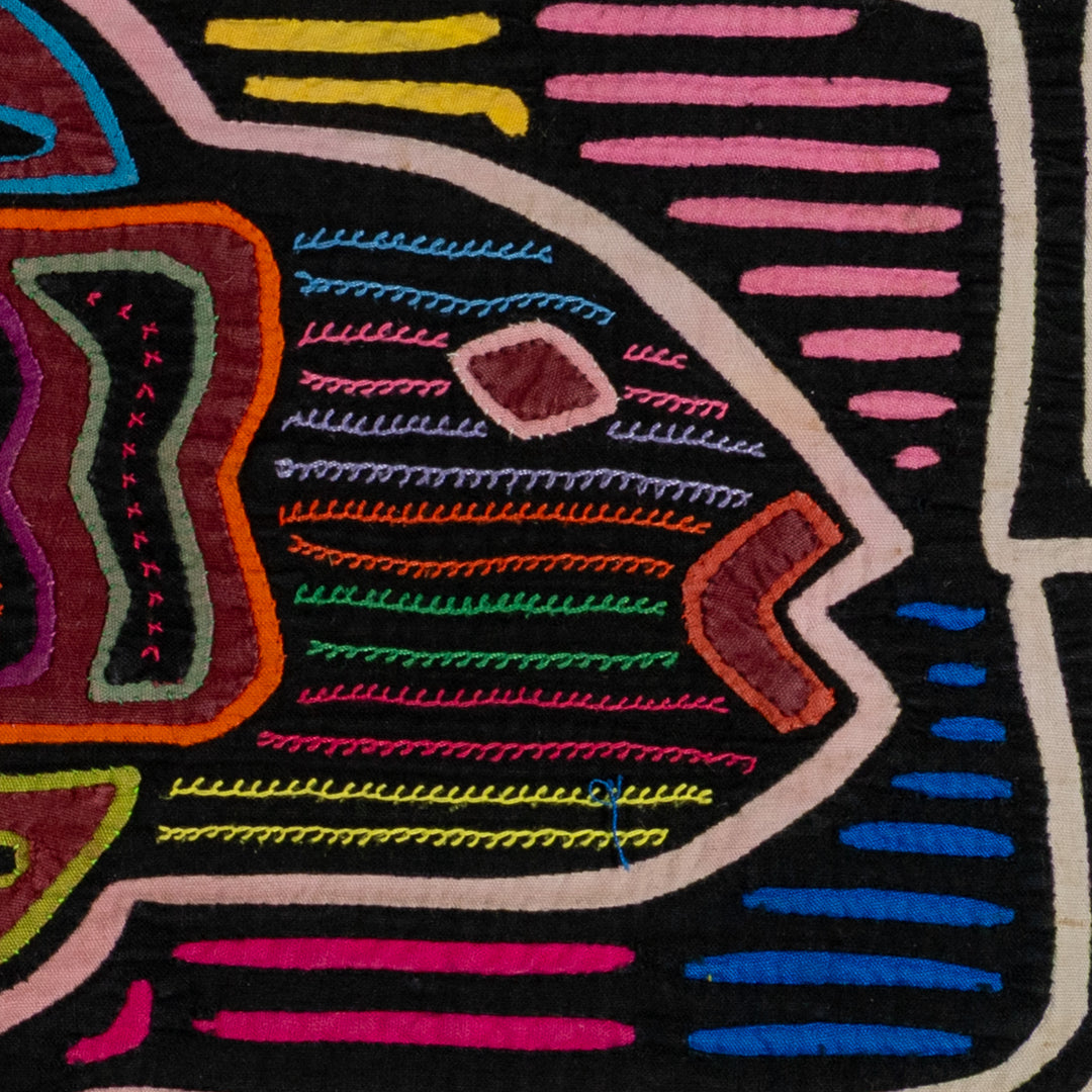 Rainbow Trout Fish Mola