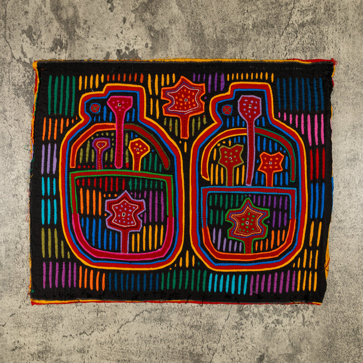 Wildcat Whiskey Jugs Mola