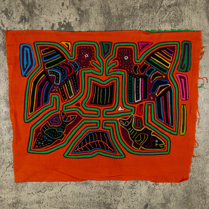Orange And Green Hot Controversy In the Treetop Mola