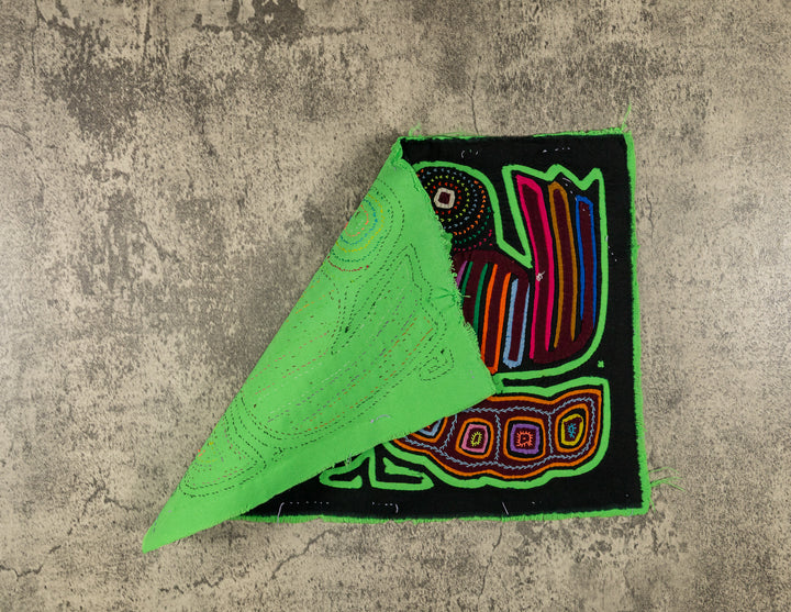 Black And Green Coy Lovebird Mola