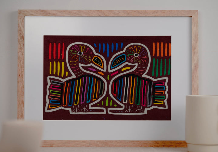Maroon And White Handsome Duck Bird Mola