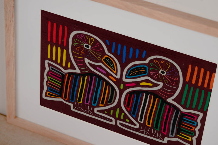 Maroon And White Handsome Duck Bird Mola