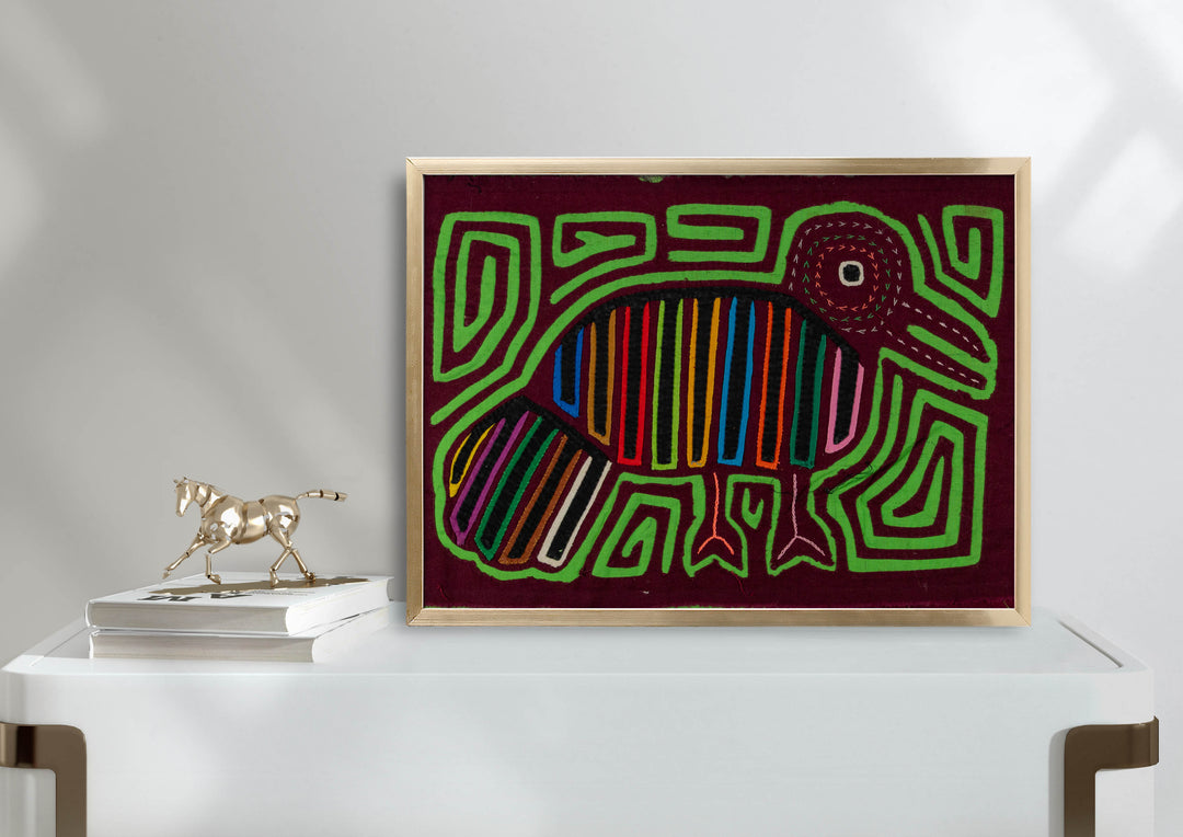 Maroon And Green Pigeon Mola
