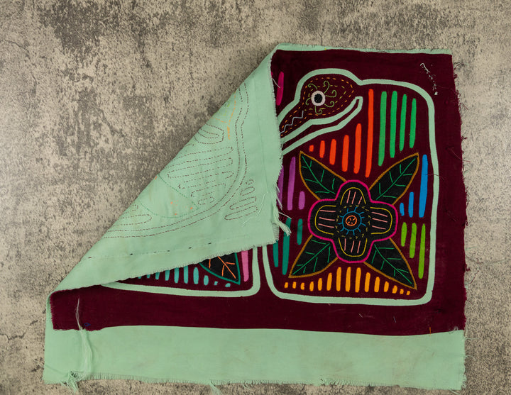 Coy Lovebird Mola