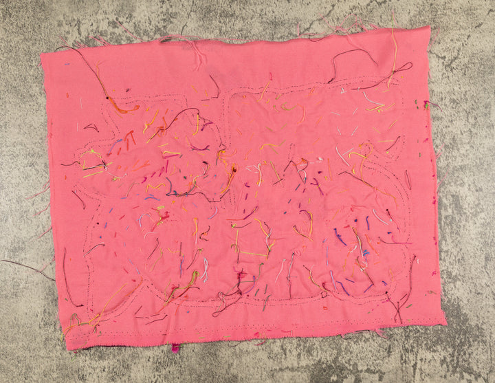 Maroon And Pink Twisted Neck Goose Bird Mola