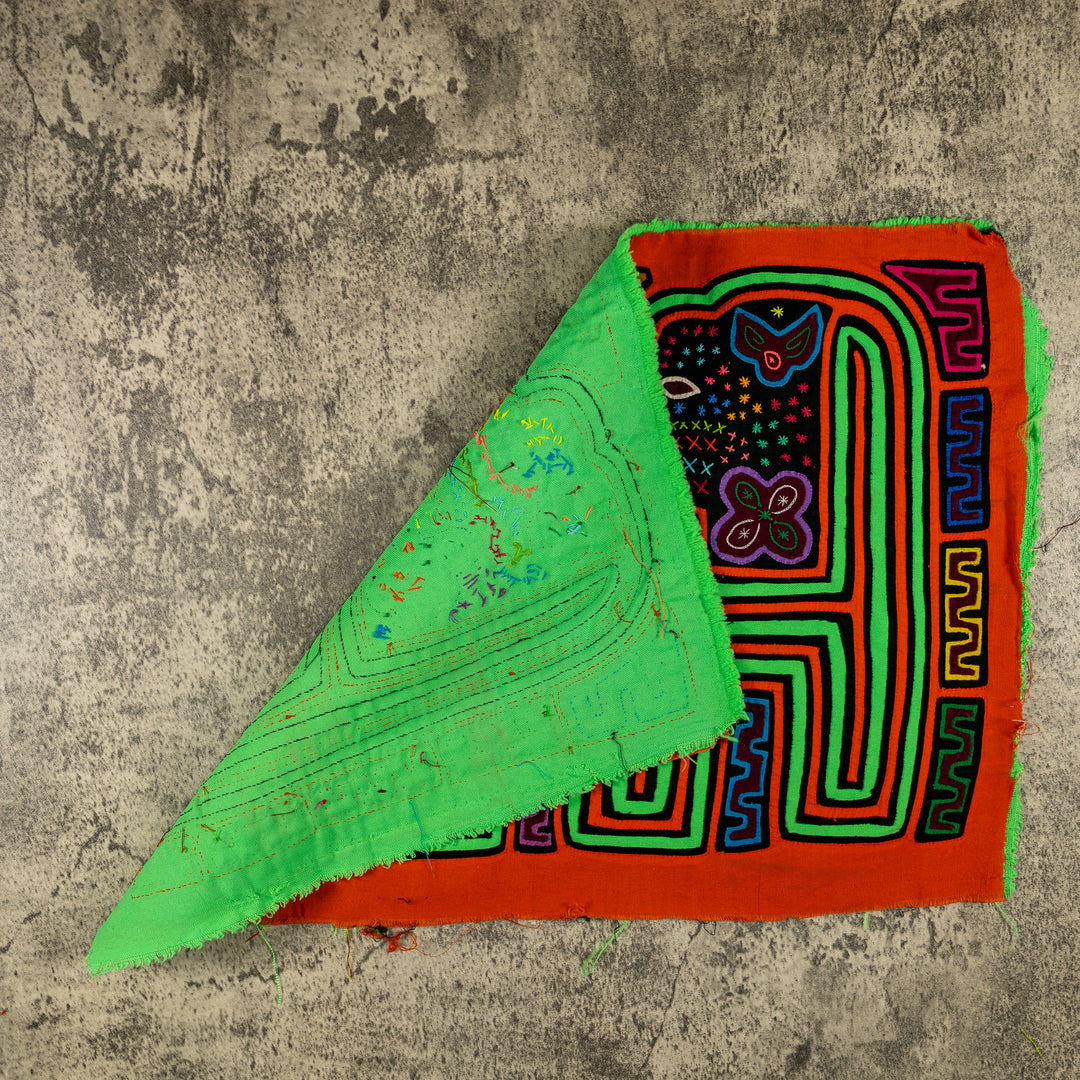 Orange And Green Gorgeous Lady Mola