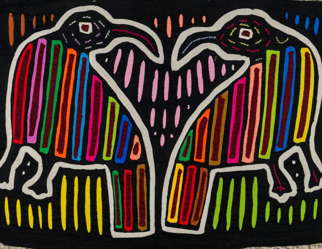 Rainbow Buzzard Bird Mola