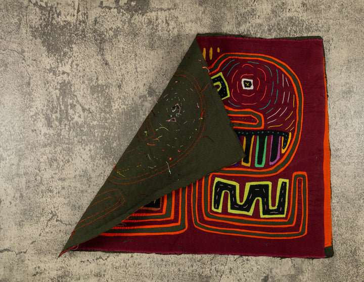 Burgundy And Orange Duel Parrot Bird Mola