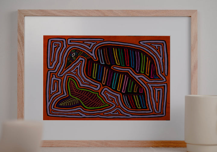 Orange And Gray Winged Warrior Of The Jungle Mola