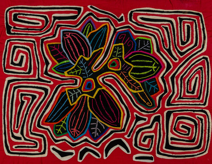 Red Black And White Orchid Flower Mola