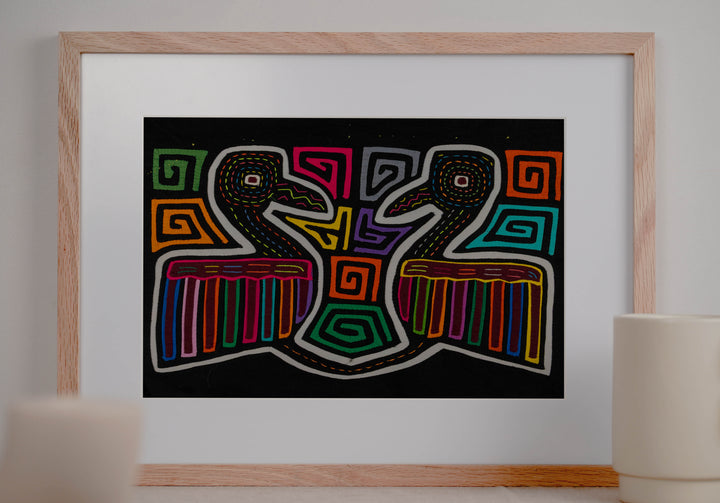 Black And White Elegant Duck Bird Mola
