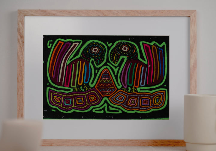 Black And Green Coy Lovebird Mola