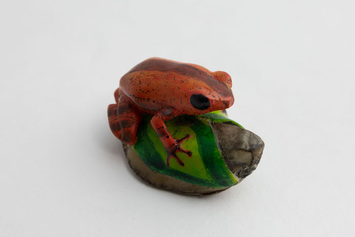 Wounaan Indian Poison Dart Tagua Frog Carving