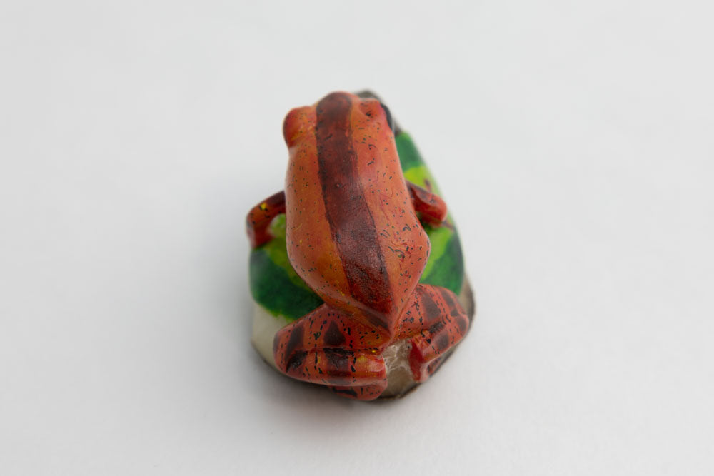 Wounaan Indian Poison Dart Tagua Frog Carving