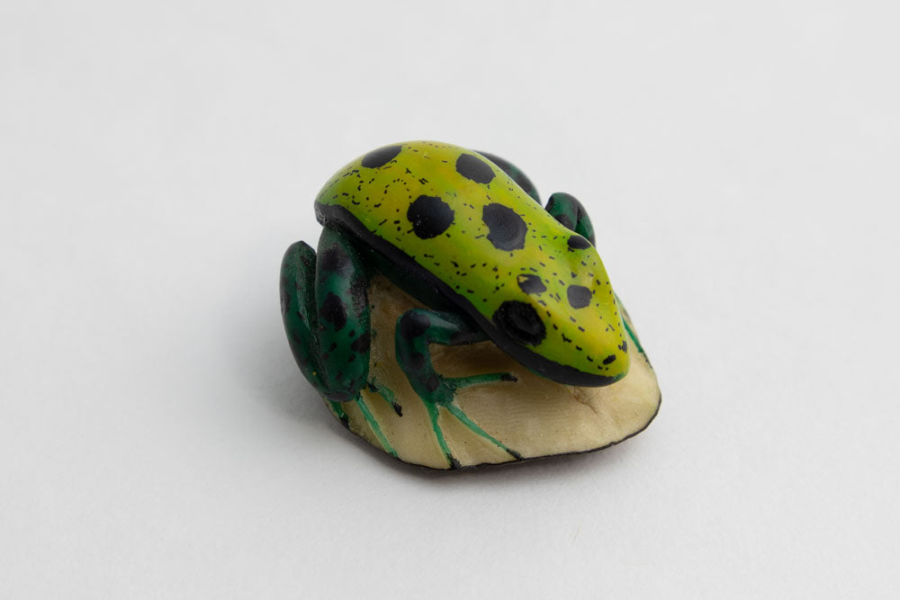 Wounaan Indian Spotted Frog Tagua Carving Panama