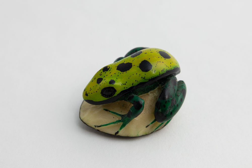 Wounaan Indian Spotted Frog Tagua Carving Panama
