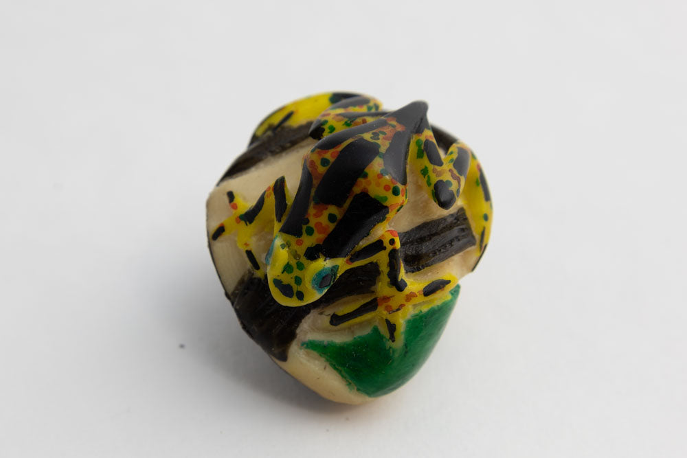 Vintage Wounaan Indian Poison Dart Frog Tagua Carving