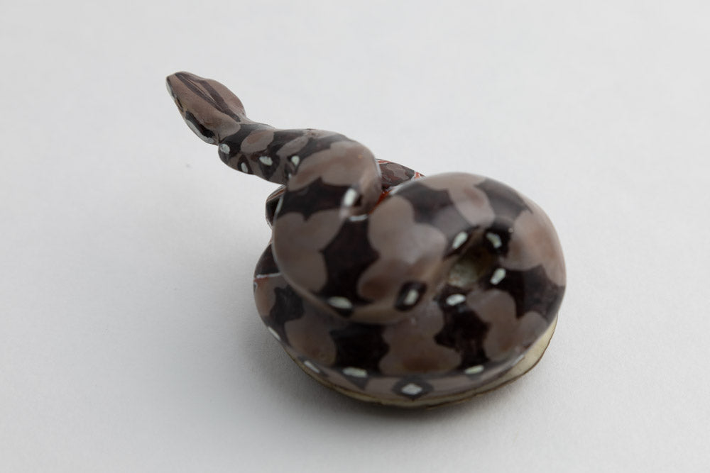 Wounaan Indian Boa Constrictor Snake Tagua Carving