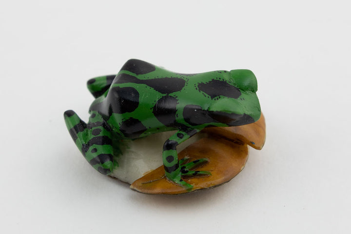 Wounaan Poison Dart Frog Tagua Nut Hand Carved Panama