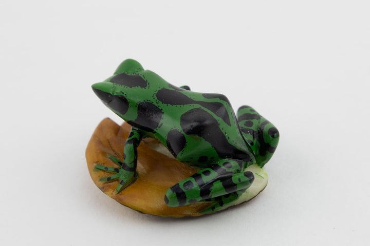 Wounaan Poison Dart Frog Tagua Nut Hand Carved Panama