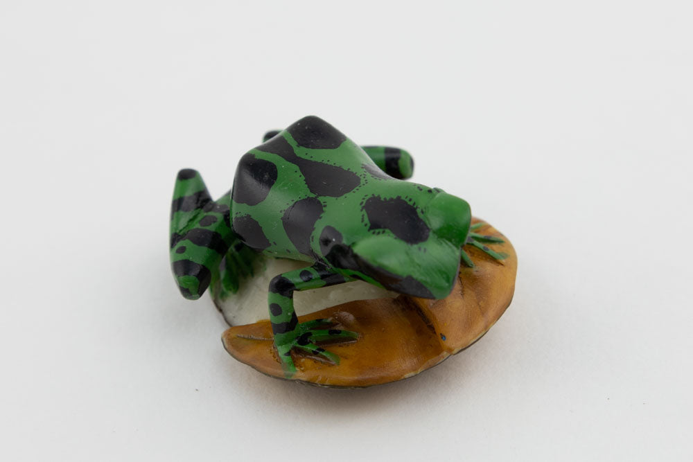 Wounaan Poison Dart Frog Tagua Nut Hand Carved Panama