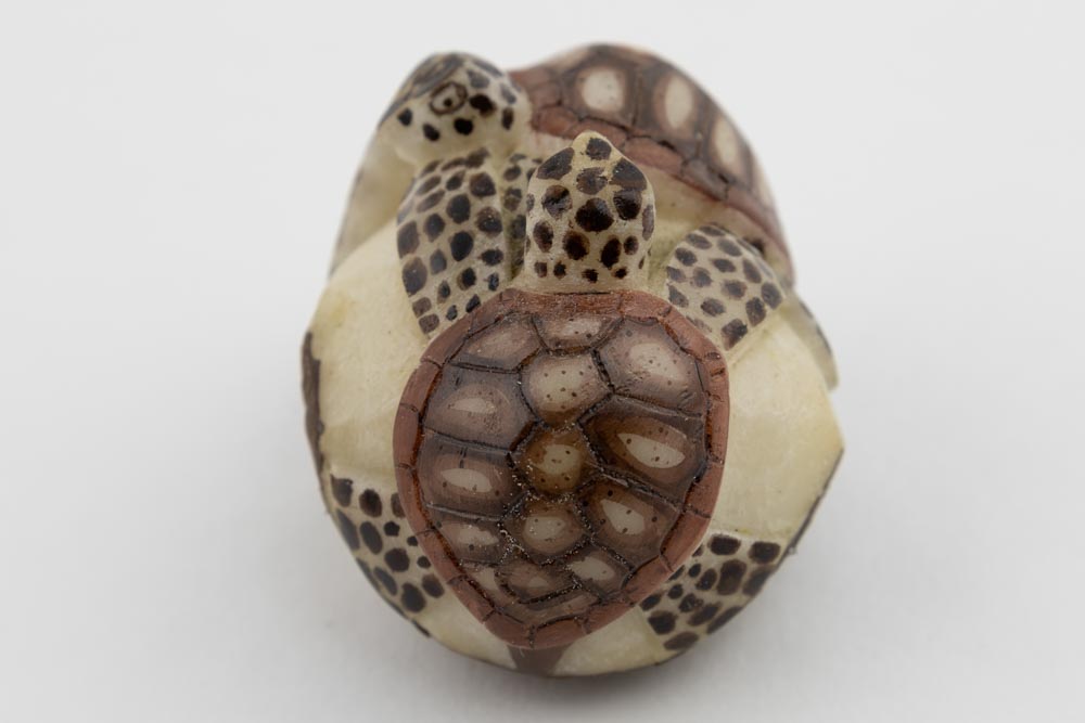 Wounaan 2 Sea Turtle Tagua Nut Hand Carved