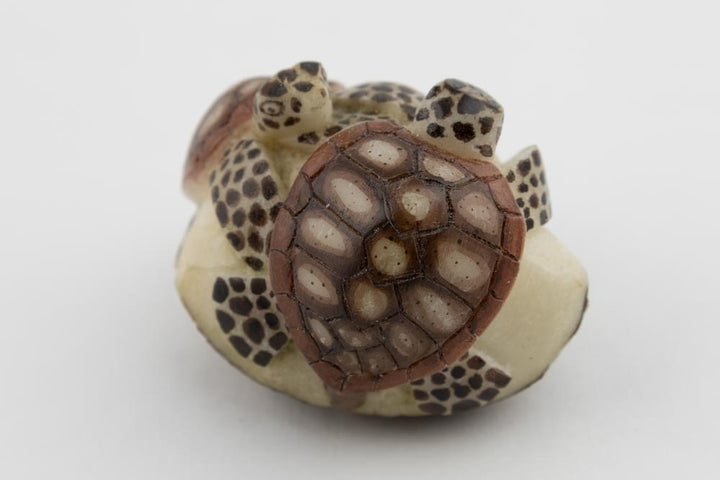 Wounaan 2 Sea Turtle Tagua Nut Hand Carved