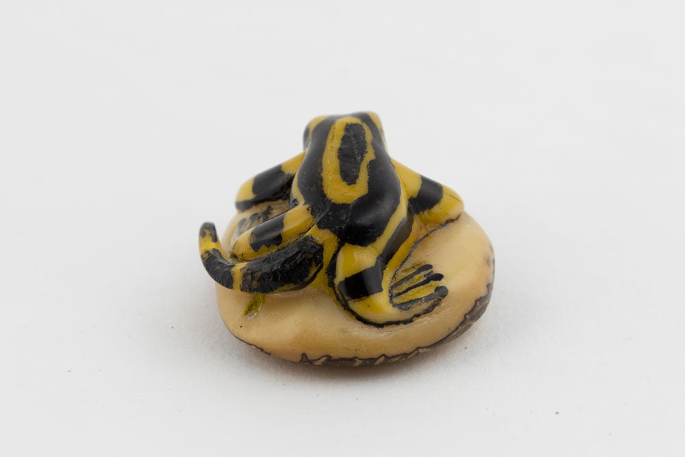 Wounaan Frog with Tail Tagua Nut Hand Carved