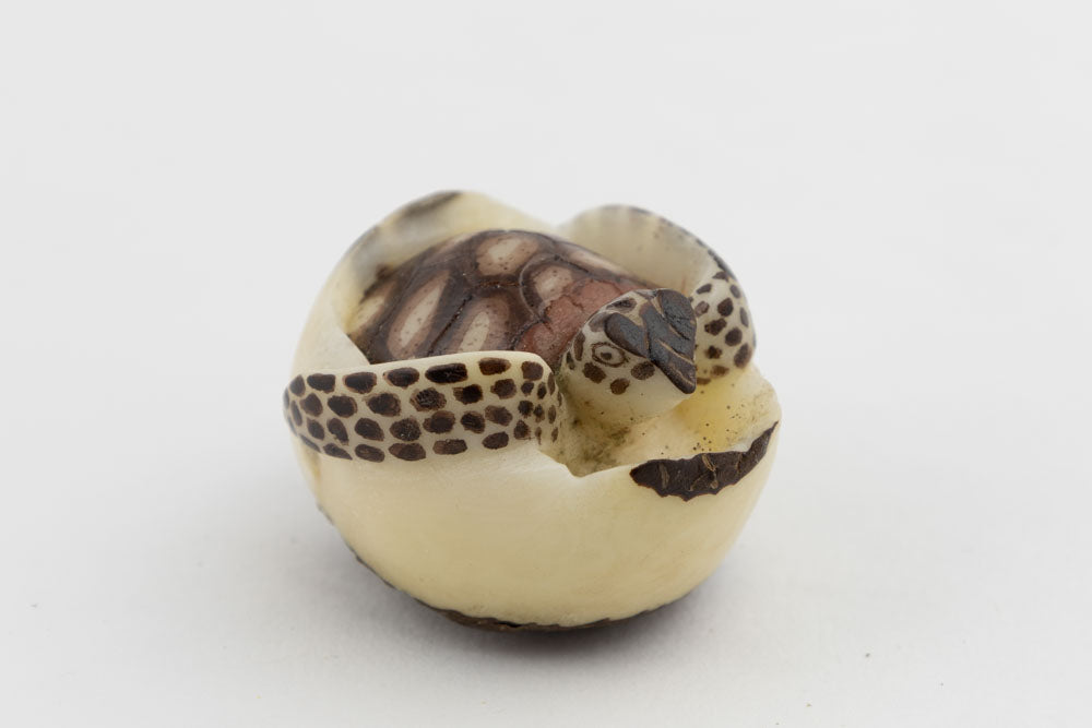 Wounaan Gorgeous Sea Turtle Tagua Nut Hand Carved