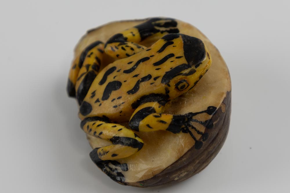 Wounaan Indian Poison Dart Frog Tagua Nut Carving