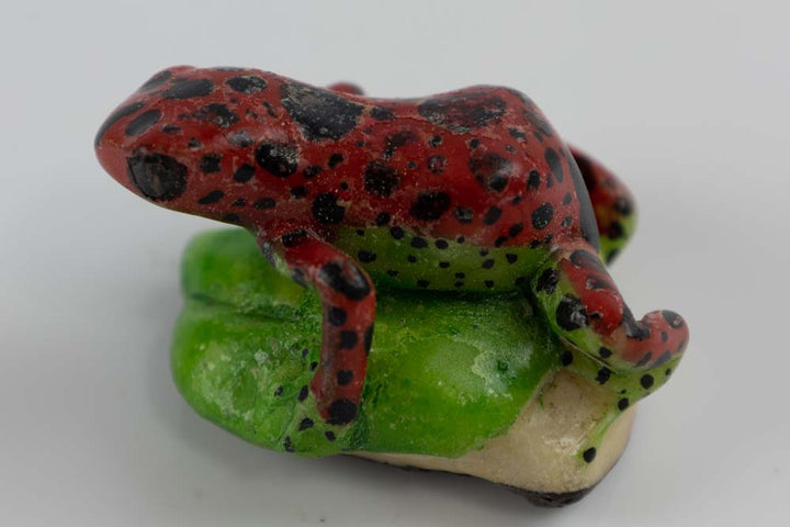 Wounaan Indian Poison Dart Frog Tagua Nut Carving