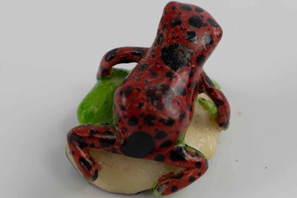 Wounaan Indian Poison Dart Frog Tagua Nut Carving