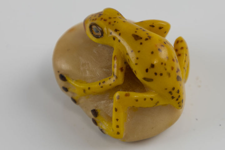 Wounaan Indian Golden Oldie Frog Tagua Nut Carving