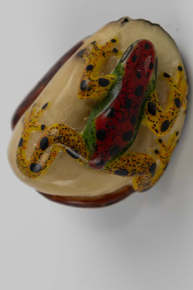 Wounaan Indian Poison Dart Frog Tagua Nut Carving