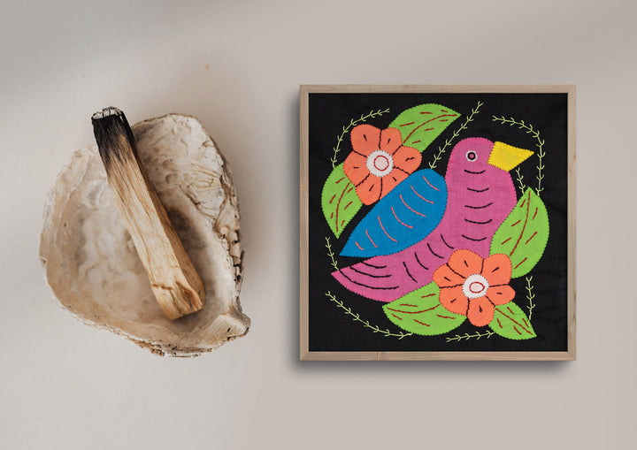 Pink And Blue Seedeater Bird Molita