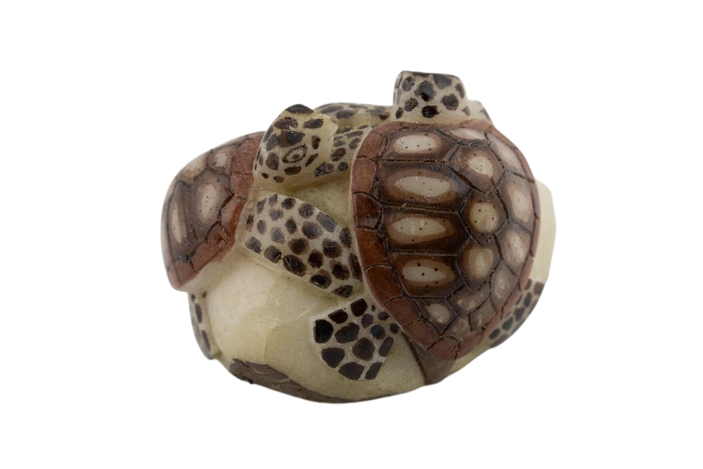 Wounaan 2 Sea Turtle Tagua Nut Hand Carved