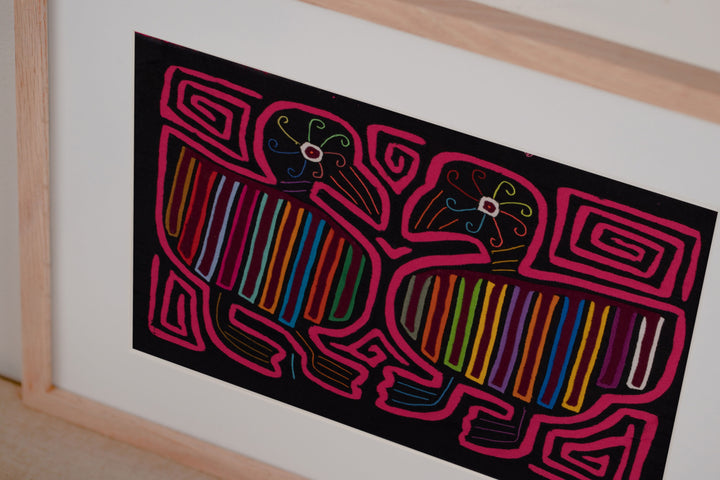 Black Pink Rainbow Gossip Bird Mola